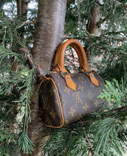 Load image into Gallery viewer, Louis Vuitton Nano Speedy
